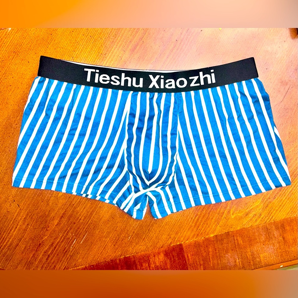 Tieshu Xiao Zhi Men's Boxer Brief Underwear NEW Size Large